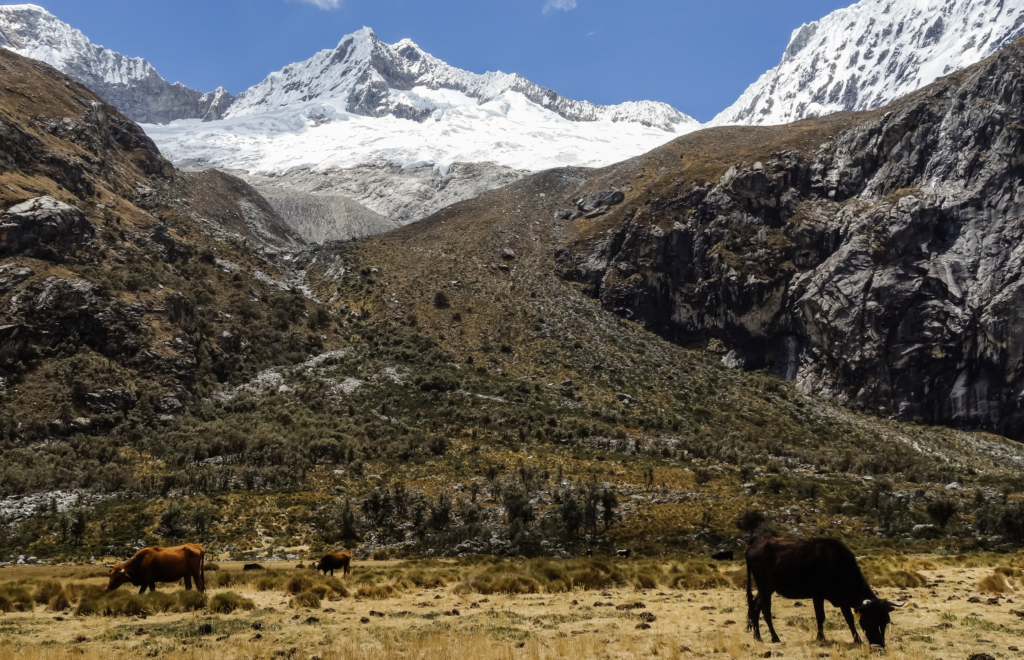 guía para descubrir Machu Picchu y el Salar de Uyuni