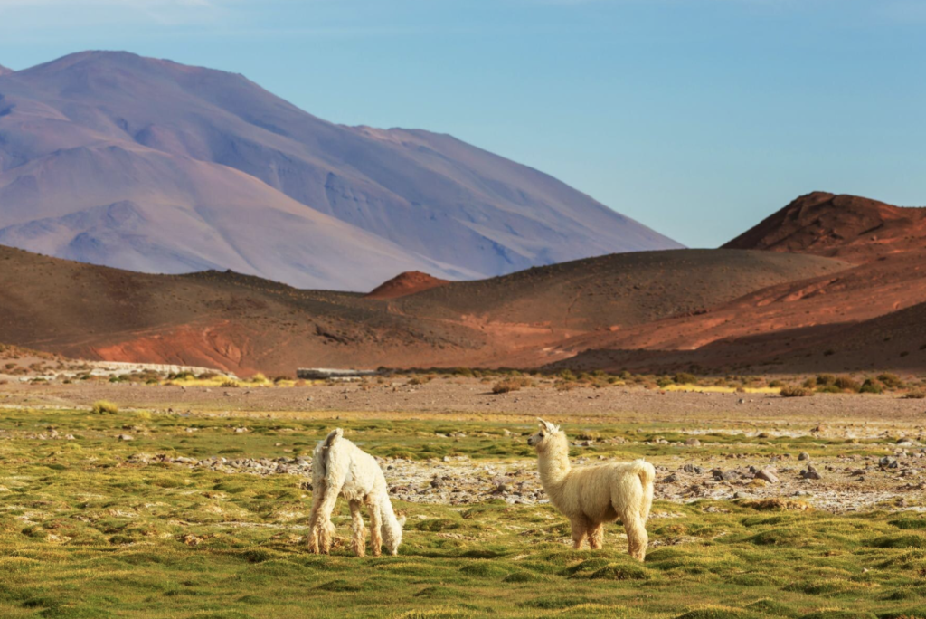 The Definitive Bolivia Travel Blueprint