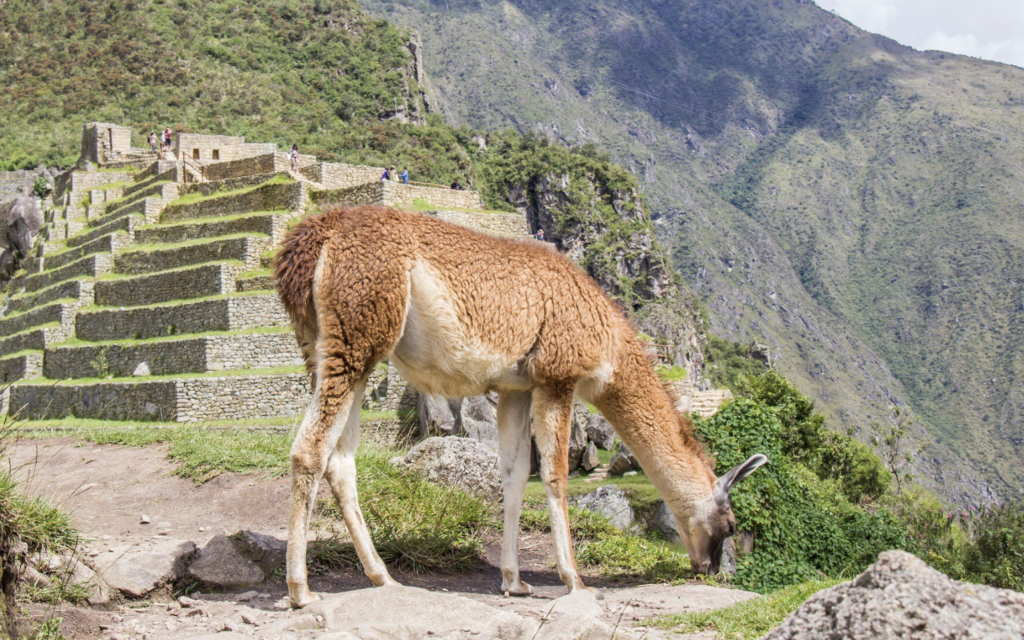 Best Time to Visit Peru