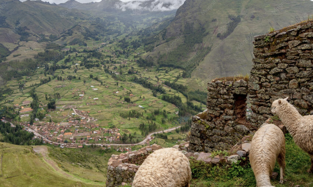 Best Time to Visit Peru