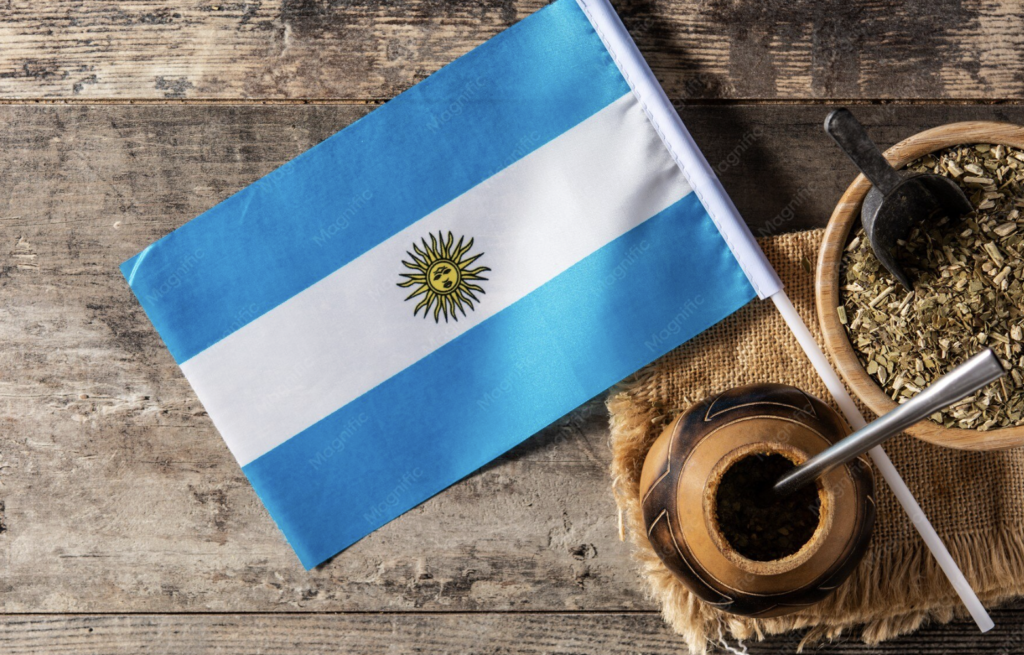 Argentina Travel Guide 2026