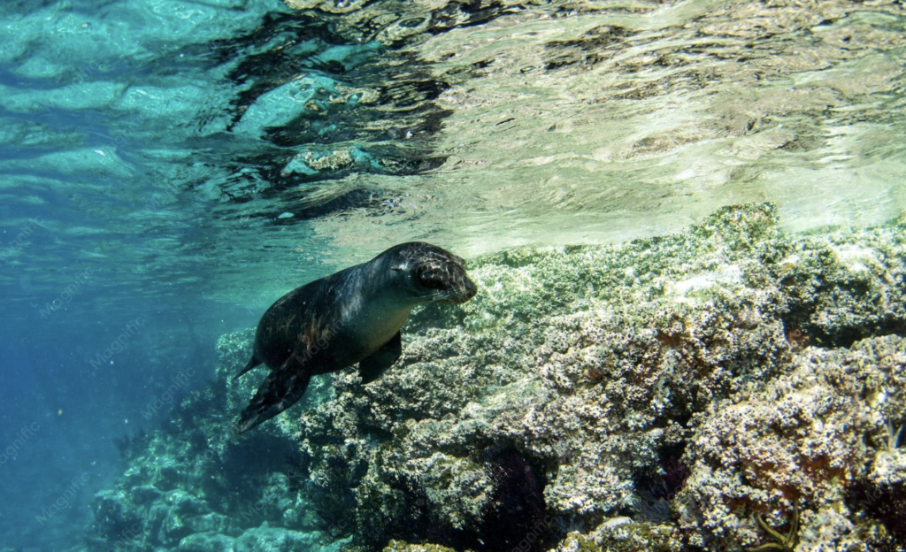 Ecuador & Galapagos Travel Guide 2026