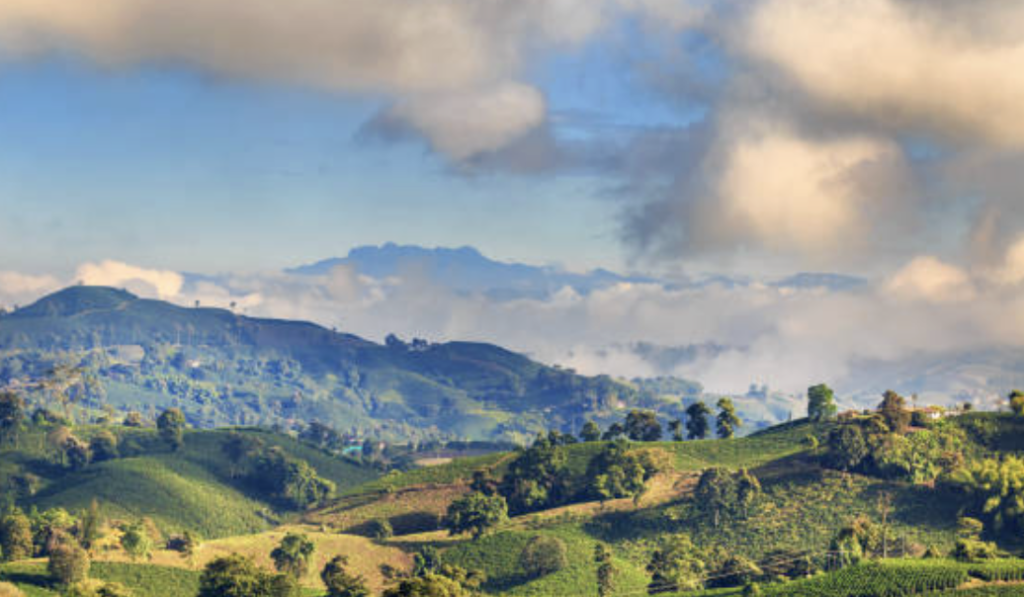 The Guide to Colombia’s Coffee Triangle: Itinerary, Villages, and Coffee Fincas