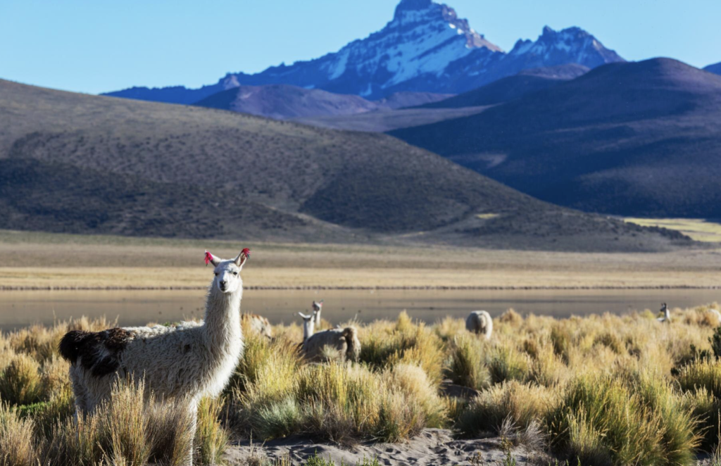 Torres del Paine Photography Guide 2026