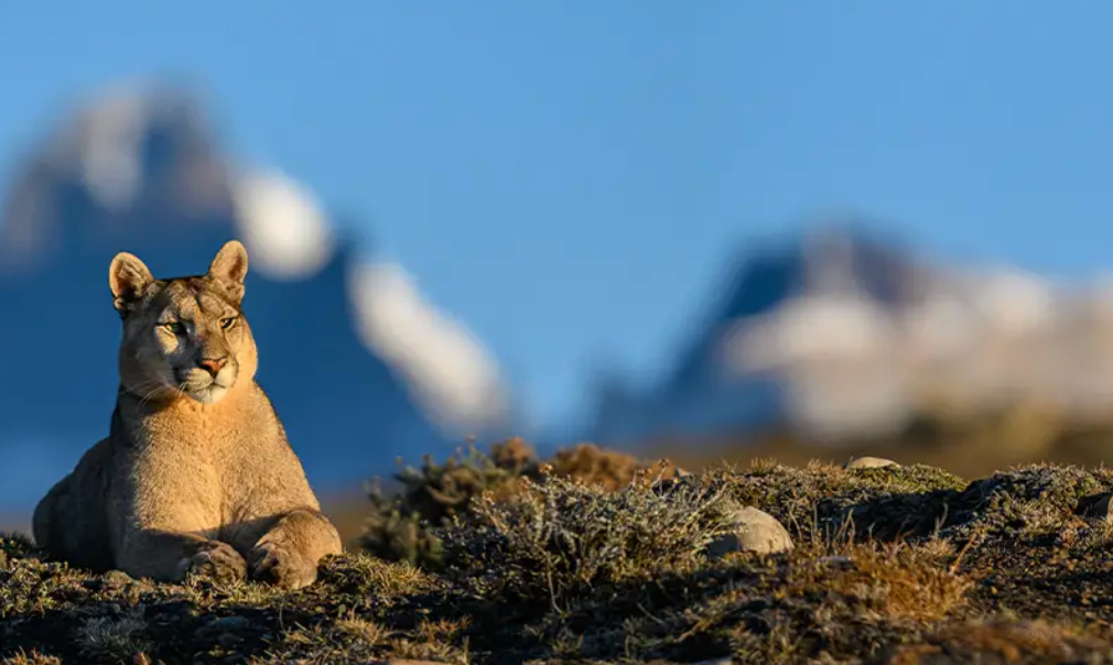 Torres del Paine Photography Guide 2026
