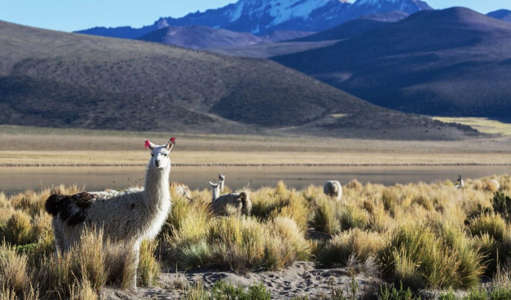 Bolivia Packing List 2026
