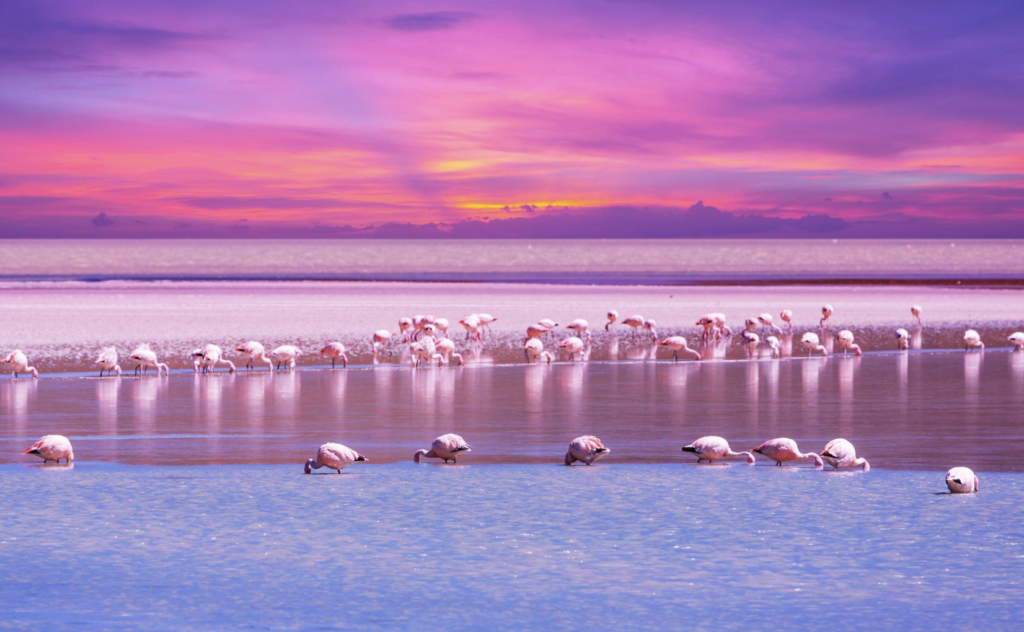 Bolivia Packing List 2026
