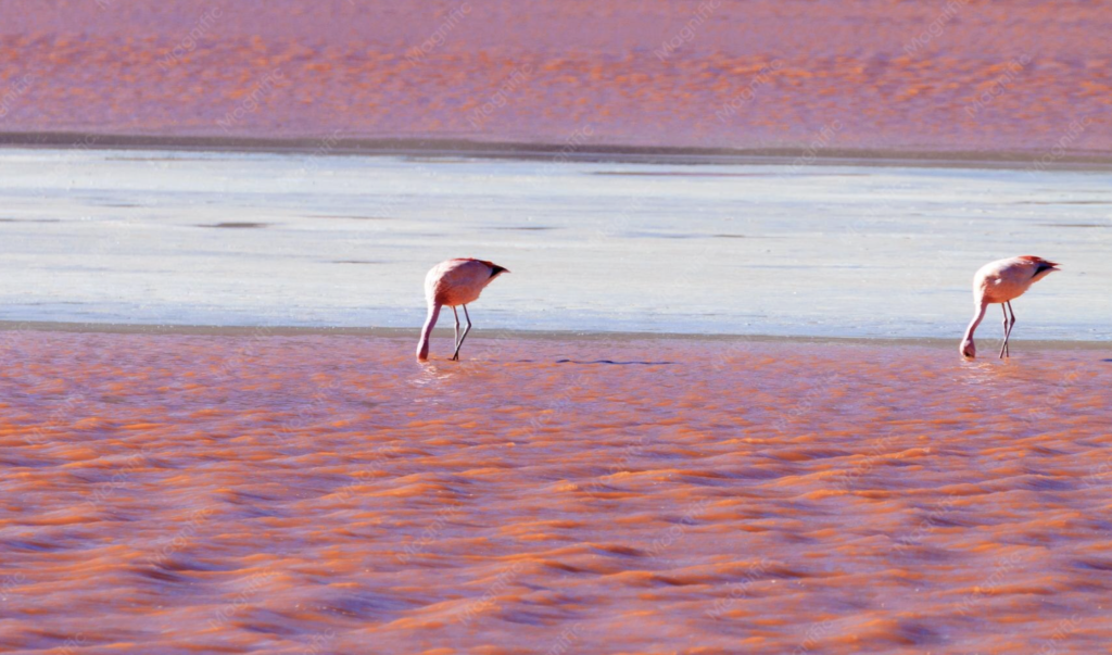 30 Most Beautiful Places in South America's Andes You Need to See in 2026