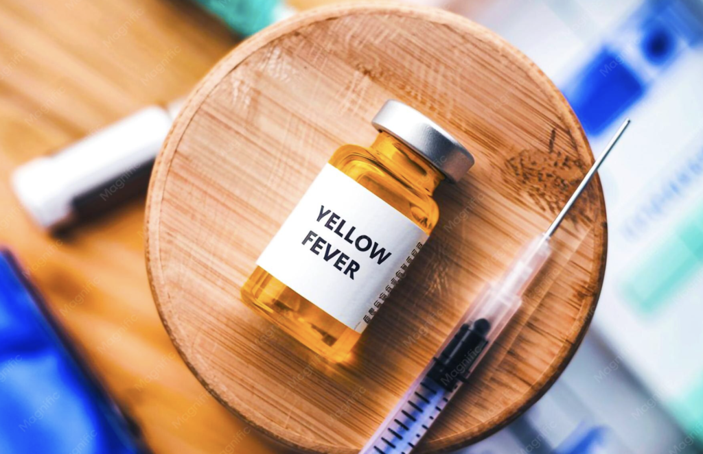 Yellow Fever Vaccine Requirements for South America 2026: What Changed and Where It Applies