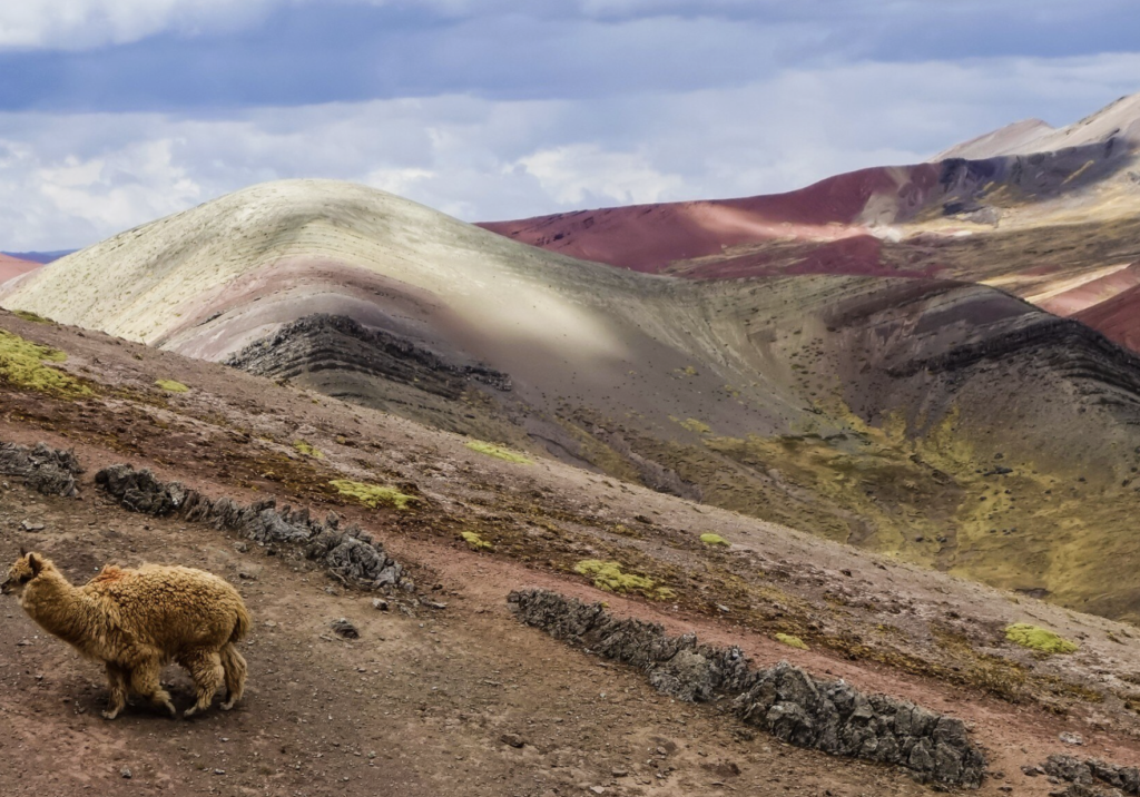 San Pedro de Atacama Travel Guide 2026: Tours, Costs and How Far Ahead to Book