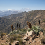 Uncover the Andes