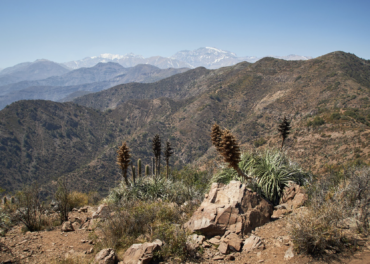 Uncover the Andes